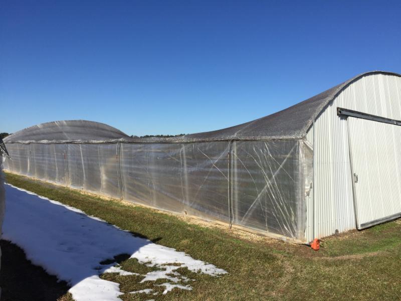 Greenhouse with snowJPG